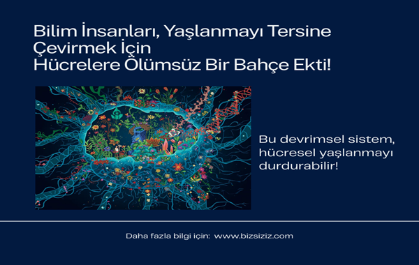 Hücre İçi Genetik