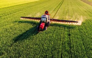 Common pesticides may cause testicular damage and lower sperm counts