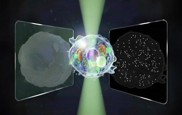 “Great Unified Microscope” reveals micro and nano worlds in a single view