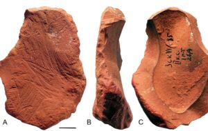 Neandertallerin Sanatçı ve Düşünür Olduğu Kanıtlandı