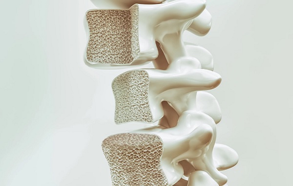 Kırıkları İyileştirmek İçin Yağ Hücreleri Kemiğe Dönüştürüldü