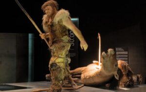 Yok Olmadılar, Ama Eridiler: Neandertallerin Kaderi Üzerine Yeni Bir Teori