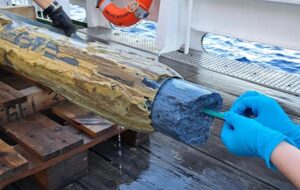 pH Değeri 12 Olan Okyanusta Yaşam Keşfedildi: Bilim İnsanları Şaşkına Döndü!