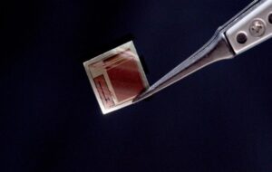 Beyond Science Fiction: The Paper-Thin "Sticker" That Merges Your Brain with AI