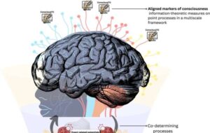 The Ghost in the Biological Machine: Is Consciousness Nature’s Ultimate Algorithm?