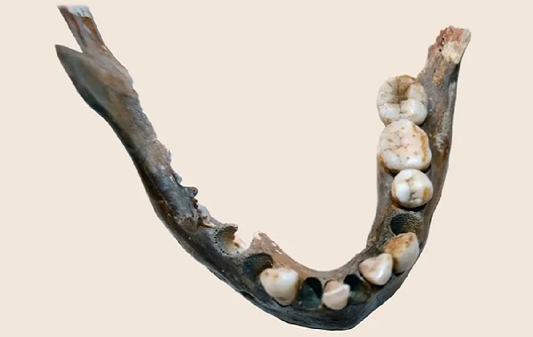 Güney Afrika'nın Kadim Sakinleri, İnsanlıktan 100.000 Yıl Önce Ayrılmışlardı