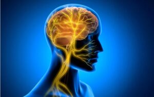 Gizli Bir Beyin Sinyali