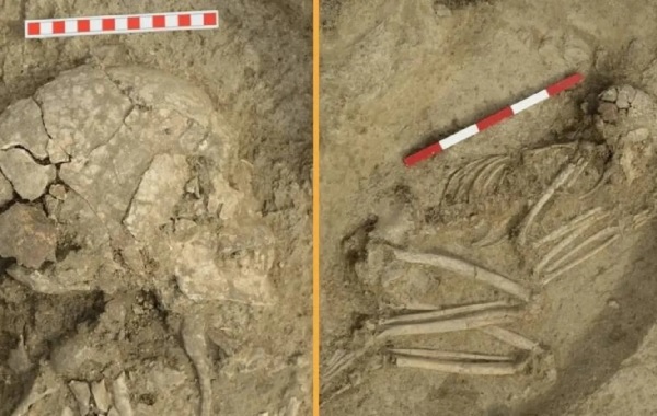 Aslan Saldırısından Kurtulan Bir Çocuğa Ait Antik Bir İskelet Bulundu