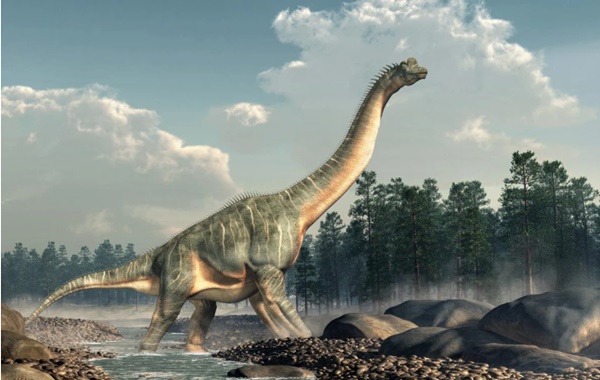 Geçmişe Yeni Bir Pencere