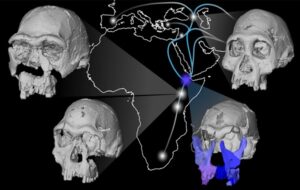 The Face That Shouldn't Exist: Digital Resurrection of a 1.5-Million-Year-Old Ancestor Rewrites Human History