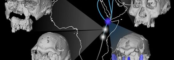 The Face That Shouldn't Exist: Digital Resurrection of a 1.5-Million-Year-Old Ancestor Rewrites Human History