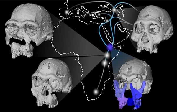 The Face That Shouldn't Exist: Digital Resurrection of a 1.5-Million-Year-Old Ancestor Rewrites Human History