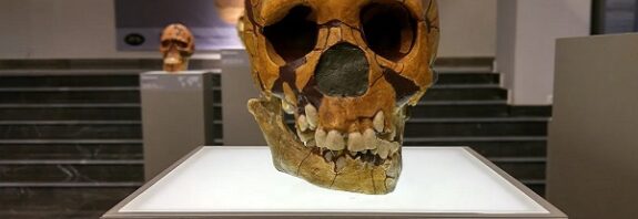 Neandertaller Diğer Gruplardan Kadın ve Çocukları Yiyordu