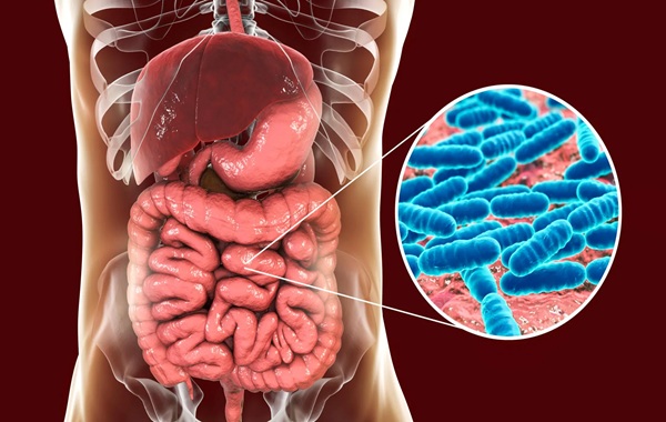 Beyond Biology: Is Your Roommate’s DNA Secretly Modifying Your Body?