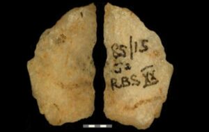 The Prehistoric Chemistry of Death: 60,000-Year-Old Relics Reveal Mankind's First Poisoned Arrows