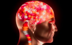 Bilim İnsanları Beynin Gizli Dilini Keşfetti ve Nöronal Sinyalleri Görmeyi Öğrendi