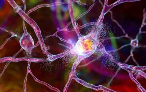 The Master Key to Parkinson’s: How Scientists Finally Cracked the Mystery of the Cellular Gatekeeper