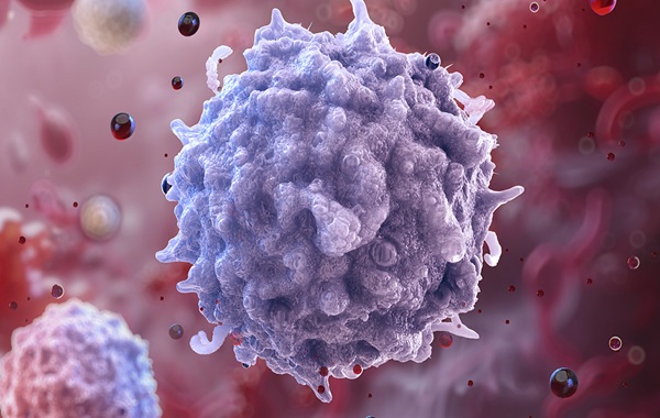 The Liver: Our Body's Secret Weapon to Reversing the Immune Clock