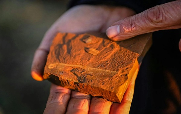 Strange Red Rocks in Australia Are Challenging Long-Held Ideas About Fossils