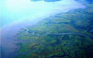 Büyük Nehir Deltaları