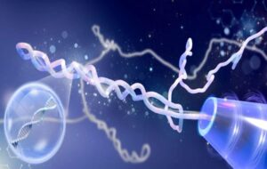 Beyond the Knot: Science Just Overturned Decades of DNA Mystery