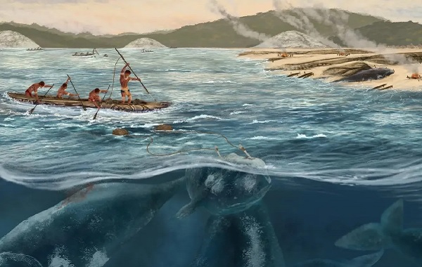 İnsanlar 5.000 Yıl Önce Balina Avlıyorlardı