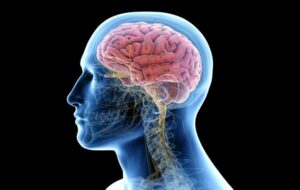 Beynin Gizli Temizlik