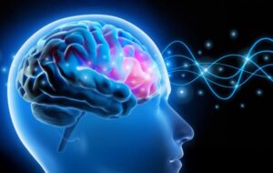 The Ghost in the Machine: How Brain Rhythms Define the Boundaries of Your Existence