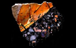 Beyond the Grave: How Ancient Bone 'Time Capsules' Are Rewriting Prehistoric History