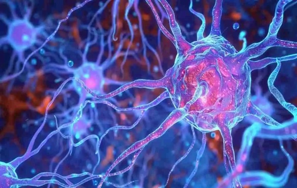 Beyond Human Limits: The Dawn of Robots That Feel Pain and Heal Like Living Flesh