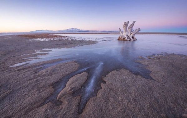 Bilim İnsanları Büyük Tuz