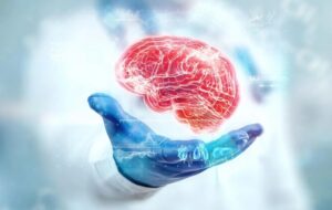 Aging Rewrites the Brain’s Protein Code – and Scientists Just Found the Switch