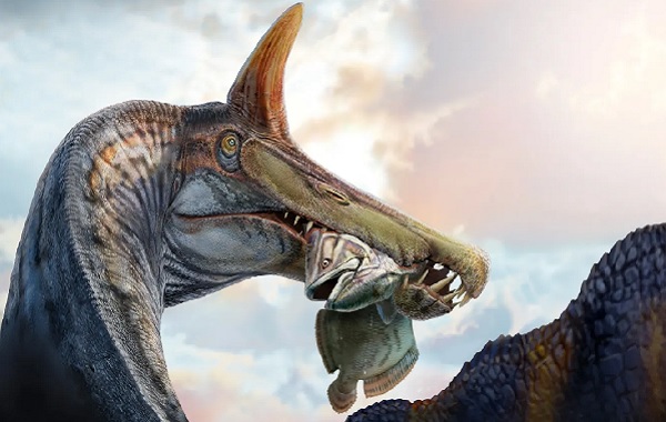 Sahra Çölü'nde Yeni Bir İbikli Spinosaurus Türü Keşfedildi