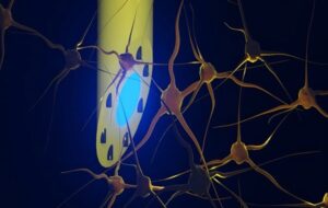 Beyond the Bio-Barrier: The Needle-Thin Fiber Rewiring the Future of Brain Medicine