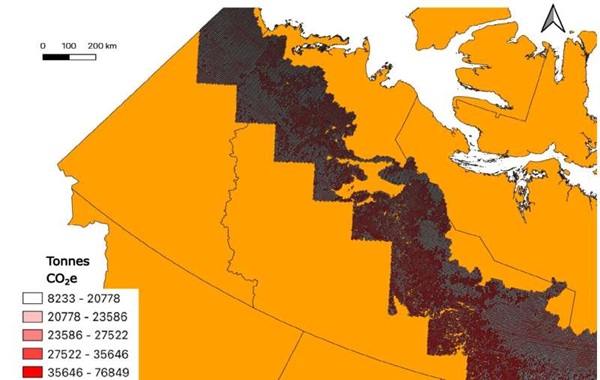 Strategic tree planting could help Canada become carbon neutral by mid-century