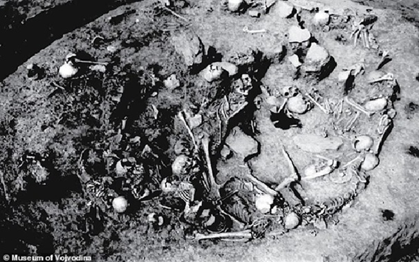 The Iron Age Cold Case: A Brutal Murder Unearthed After 2,500 Years