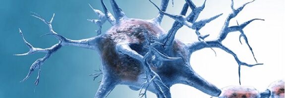 Laboratuvar Deneylerinde Beyin Yaşlanmasını Tersine Çeviren Bir Protein Keşfetti