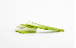 Aloe Vera Alzheimer Hastalığına Karşı Gizli Bir Silah Olarak Nitelendiriliyor