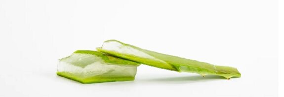 Aloe Vera Alzheimer Hastalığına Karşı Gizli Bir Silah Olarak Nitelendiriliyor