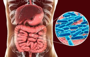Bağırsak Bakterilerinin İnsan Hücrelerine Protein Enjekte Edebildiği Keşfedildi