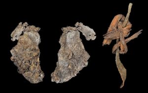 İnsanlık Ne Zaman Giyinmeye Başladı? Bilinen En Eski Dikilmiş Deri Bulundu