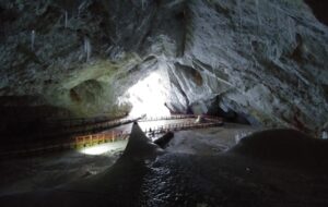 Frozen for 5,000 years, this ice cave bacterium resists modern antibiotics