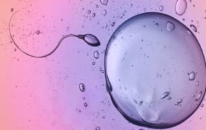 Beyond the Laws of Physics: The Defiant Sprint of the Human Sperm