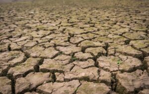 İklimin Kaderi Bu Bahar 'Tuz'da Saklı: El Niño’yu Dev bir Canavara Dönüştürebilir