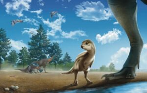 Güney Kore'de Çizgi Film Karakterine Benzeyen Yeni Bir Dinozor Keşfedildi