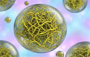 Beyond the Void: The Secret Architecture Hidden Within Cellular "Liquid Droplets"