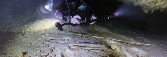 Meksika'daki mağara sisteminin derinliklerinde bulunan 8.000 yıllık iskelet: Yucatán Cenotes'teki ritüel gömme, Amerika'nın erken tarihini