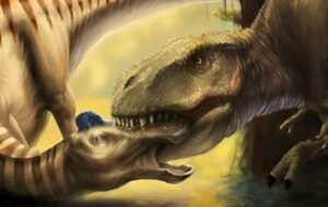 Scientists Found a T. Rex Tooth Embedded in Another Dinosaur's Skull