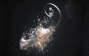 Fully Functional Hair Follicles Have Been Grown in The Lab For The First Time