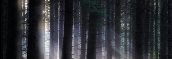 Toprağın Altındaki Dev